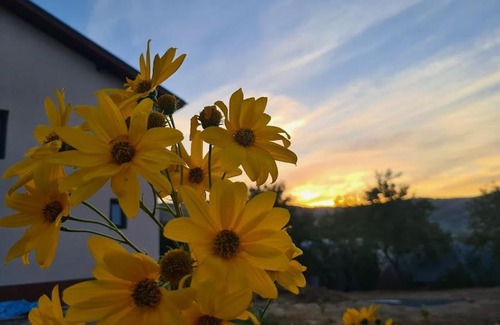 Niculitel House | PIATRA ROSIE Pensiune Agroturistică
