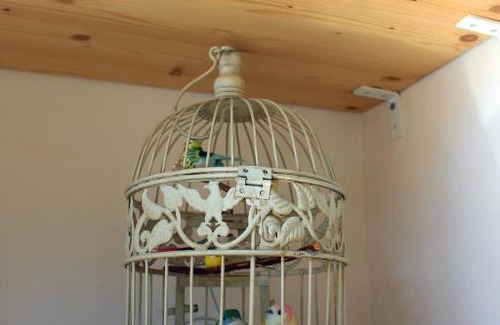 Vanchiglietta Apartment | Piccola Casa Blu
