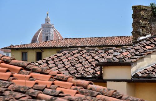 Santo Spirito Apartment | Piccolo Iris Firenze