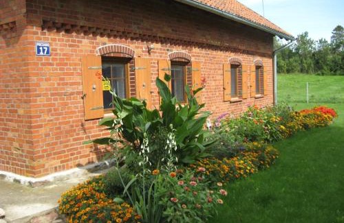 Pieczarki Cabin | Pieczarki