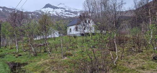 Laupstad House | Pilan Lodge Lofoten