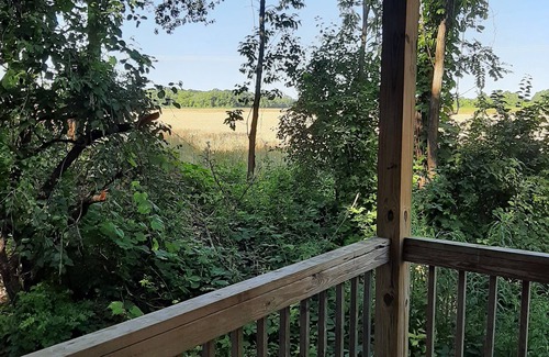 Town of Benton Cabin | Pine Grove Cabin