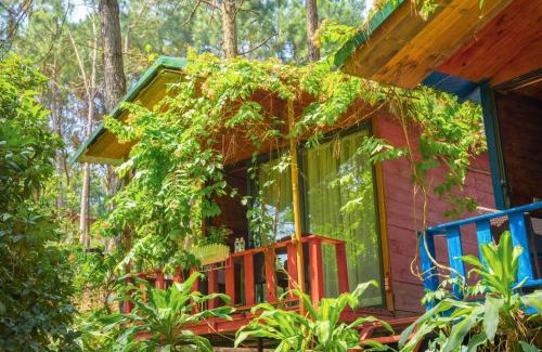 Soc Son Resort | Pine Hill Villas & Camping