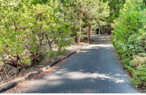 Dorrington House | Pine Paradise