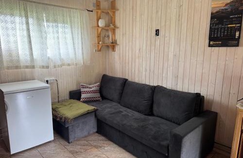 Lithuania House | Pinetree House