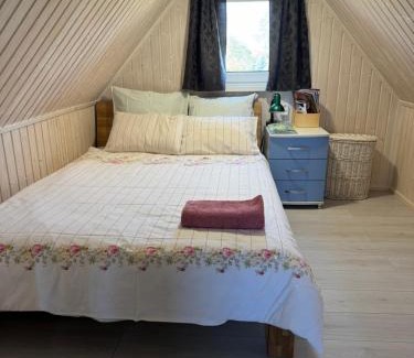 Lithuania House | Pinetree House