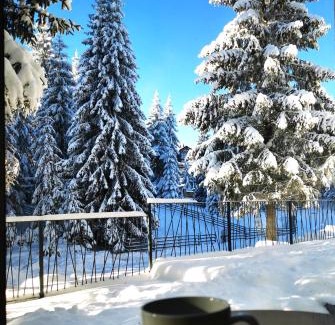 Kasidoli Apartment | PineTree Jahorina