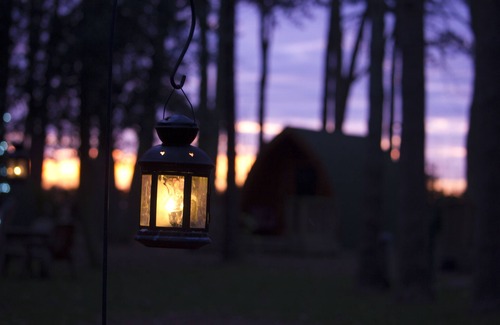 Hythe RV Rental | Pinewood Camping Pods - At Port Lympne Reserve