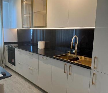 Voluntari Apartment | Pipera Platza Residence 5 luxury 1 bedroom