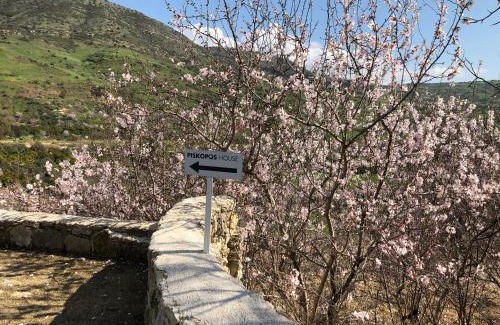Episkopi House | Piskopos Country House