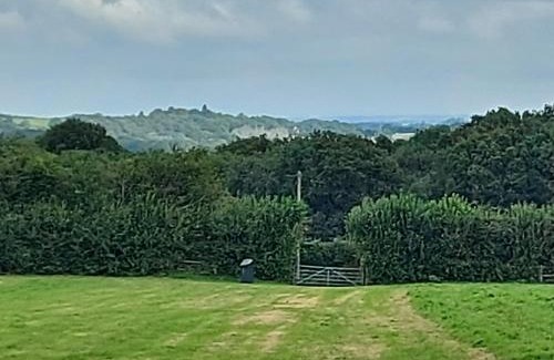 Wadhurst Other | Pitch your own tent on camp field at Hopgarden Camping TN5 6QX - NO BEDS INCLUDED