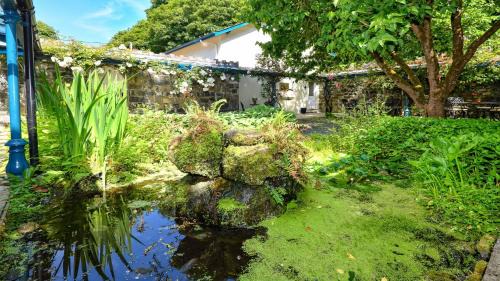 Efailnewydd House | Plas Bodegroes