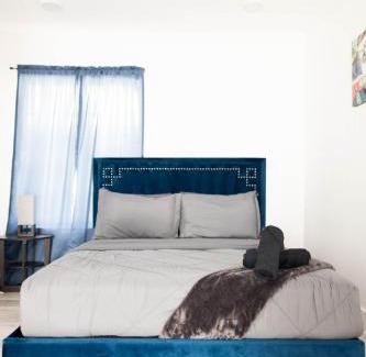 Peak's Suburban Addition Apartment | Platinum Palace 1BR1BA-Central Dallas Stay