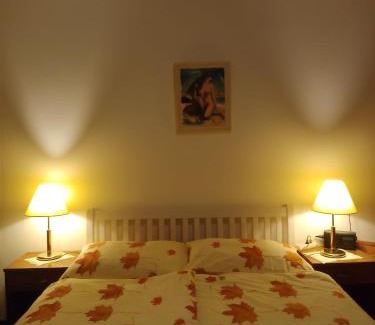 Trencianske Teplice Apartment | Plazza Trencianske Teplice Spa Panorama 4P
