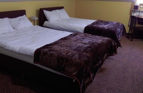 Blonie Hotel | Pod Lwami