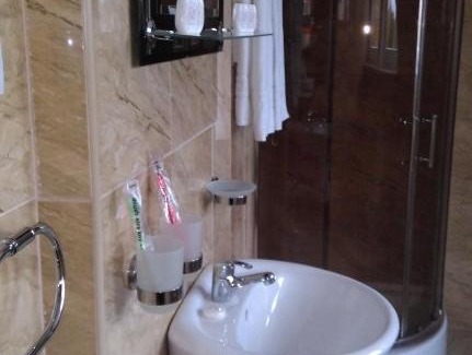 Blonie Hotel | Pod Lwami