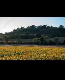 Lorenzana House | podere il poggetto