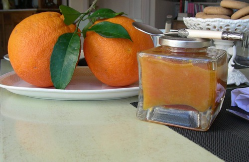 Mandrione House | poggio di luna