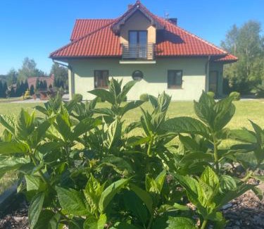 Sikorzyno House | Pogodna Zagroda-Dom na Kaszubach & Strefa Spa