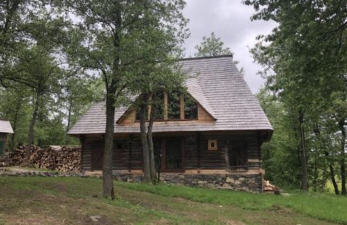 Ocna Sugatag Villa | Poiana Creasta Cocoșului-Casa Floarea Soarelui