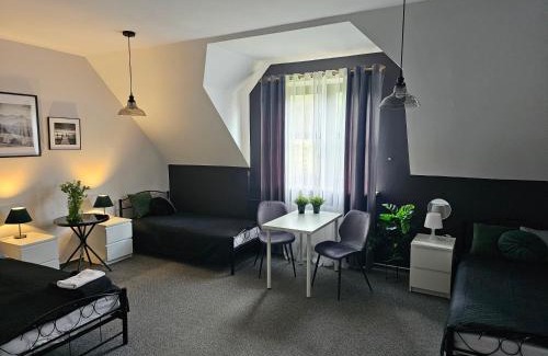 Niemce Hotel | Pokój 104 De LUX