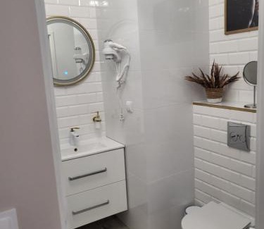 Zyrardow Apartment | Pokój z własną kuchnią i łazienką Żyrardów SUNTAGO