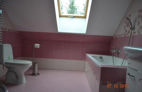 Kamieniec Zabkowicki House | Pokoje Gościnne Na Skraju Lasu