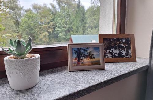 Brenna Bed & Breakfast | Pokoje Gościnne Perła