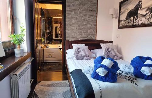Szlachtowa House | Pokoje i apartamenty u Sabiny - DOSTĘP DO JACUZZI TYLKO W WYBRANYCH OPCJACH sprawdź poniżej szczegóły rezerwacji