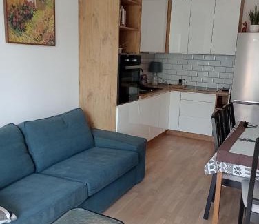 Pruszcz Gdanski Apartment | Pokoje nad Radunią