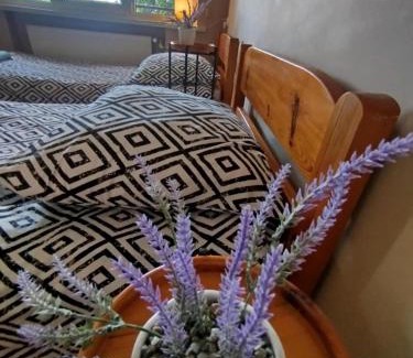 Jeleniewo House | Pokoje PRZY SZELMENCIE