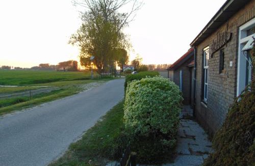 Nieuwvliet House | Polderhuis voor 8-10 personen aan zee