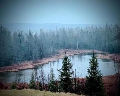 Felch Apartment | Pond View