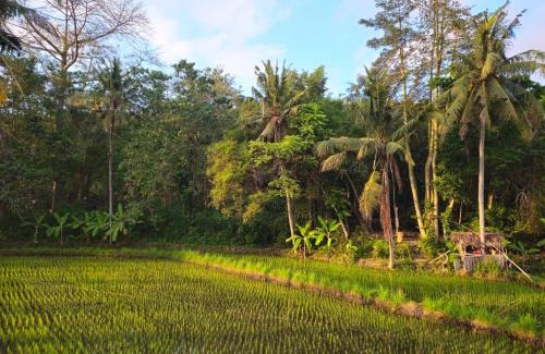 Sengkidu House | Pondok Diana Yuki