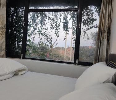Dera Gopipur Resort | Pong Retreat