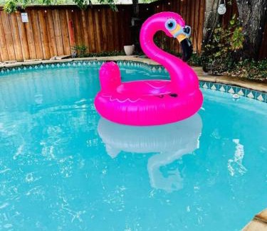 Lewisville House | Pool Theater Convenient Location 4bedroom2 Bath