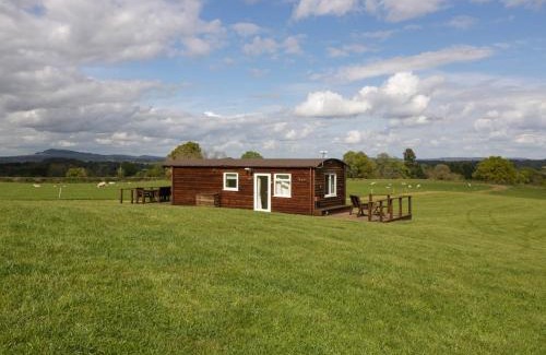 Llanvair Kilgeddin House | Poppy