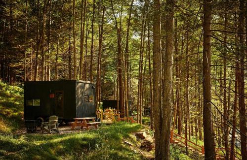 Kettle River Other | Postcard Cabins Kettle River