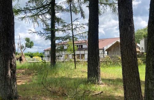 Linia House | Potęgówka wege Kaszuby