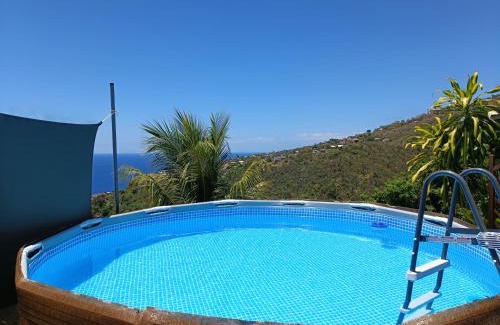 Schoelcher Apartment | Poz Tropicale