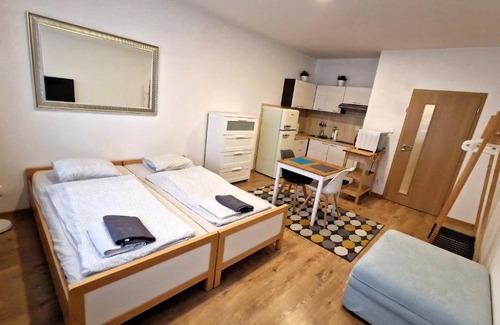 Karlin Apartment | Prague city centre