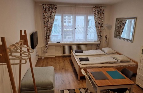Karlin Apartment | Prague city centre