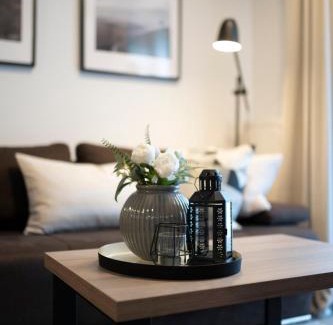 Sveti Martin na Muri Apartment | Premium Apartments Terme Sveti Martin