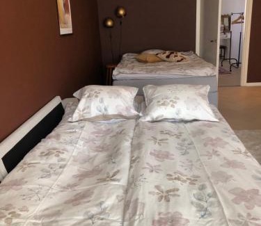Kemi Apartment | Premium City Center 2 rooms Apartment Glassed Balcony FREE PRIVATE PARKING