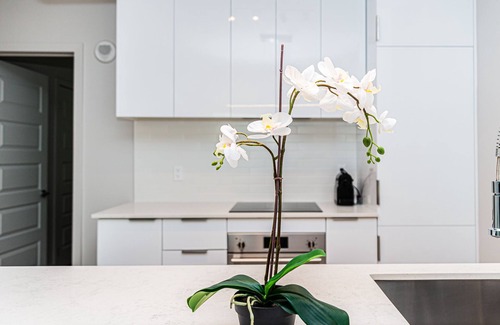 Griffintown Apartment | Premium - City Views