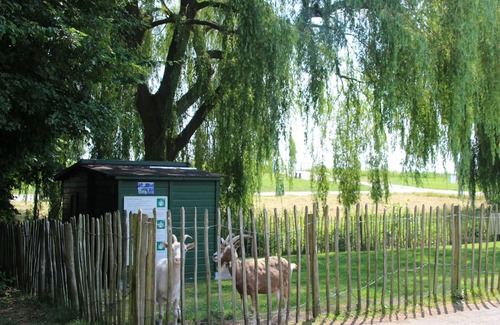 Zevenhuizen House | Premium holiday home with garden