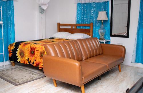 Arnos Vale House | PRI Studio Apartment