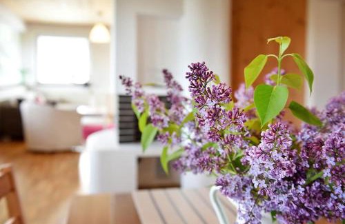Podturen Apartment | Priestranný, svetlý apartmán