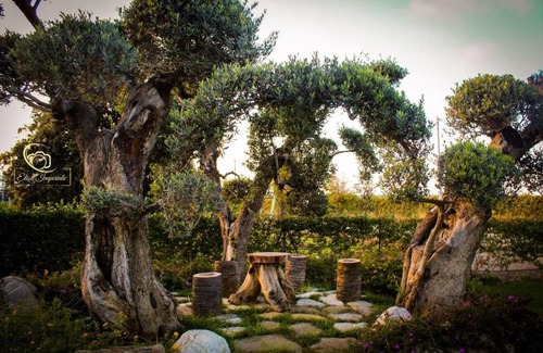 Nova Siri Bed & Breakfast | Prima Luce