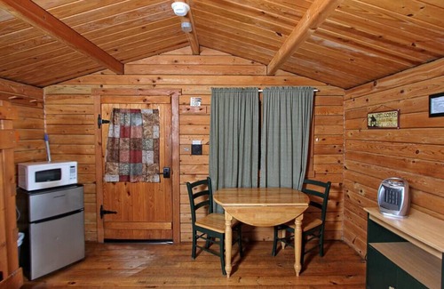 Spring Mills Cabin | Primitive Cabin PC1